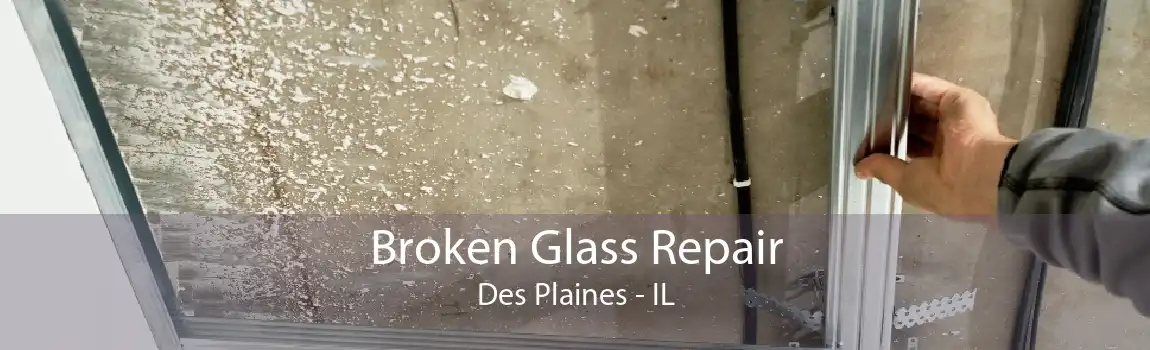 Broken Glass Repair Des Plaines - IL