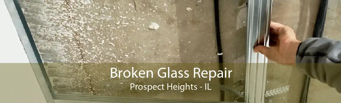 Broken Glass Repair Prospect Heights - IL