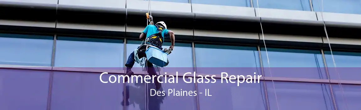 Commercial Glass Repair Des Plaines - IL