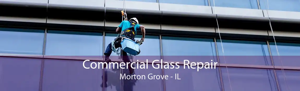 Commercial Glass Repair Morton Grove - IL