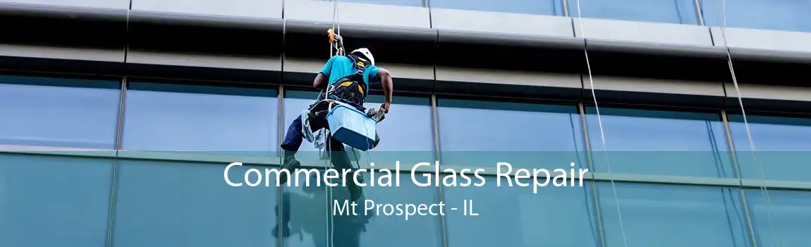 Commercial Glass Repair Mt Prospect - IL