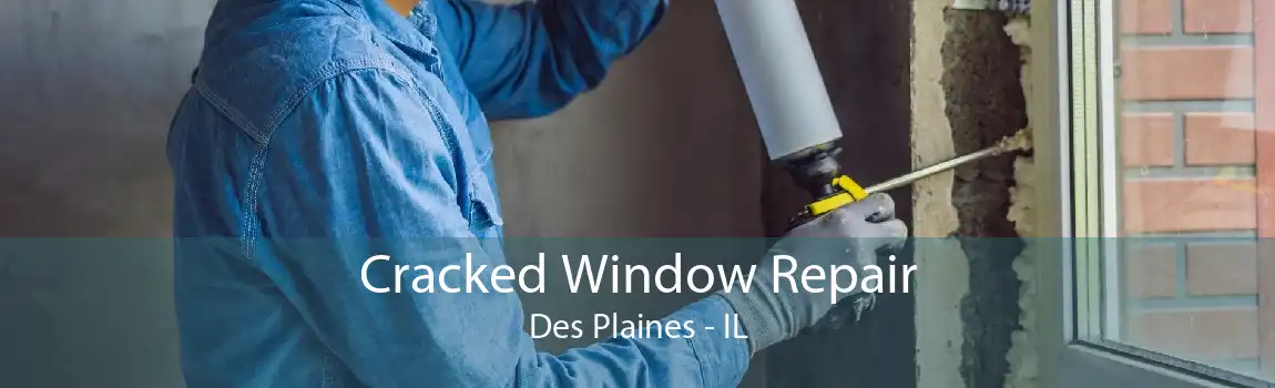 Cracked Window Repair Des Plaines - IL