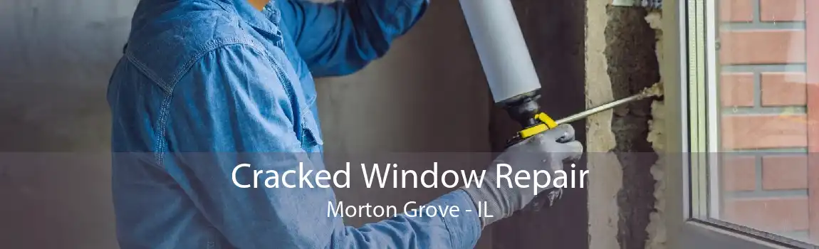 Cracked Window Repair Morton Grove - IL