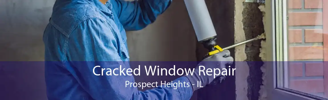 Cracked Window Repair Prospect Heights - IL