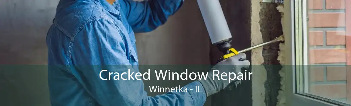 Cracked Window Repair Winnetka - IL