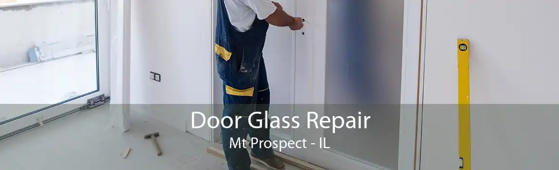 Door Glass Repair Mt Prospect - IL