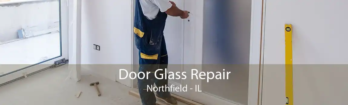 Door Glass Repair Northfield - IL