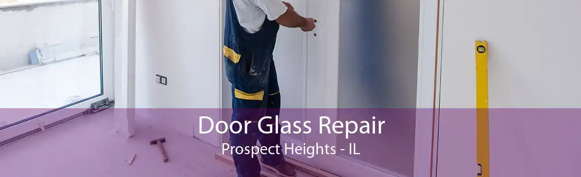 Door Glass Repair Prospect Heights - IL