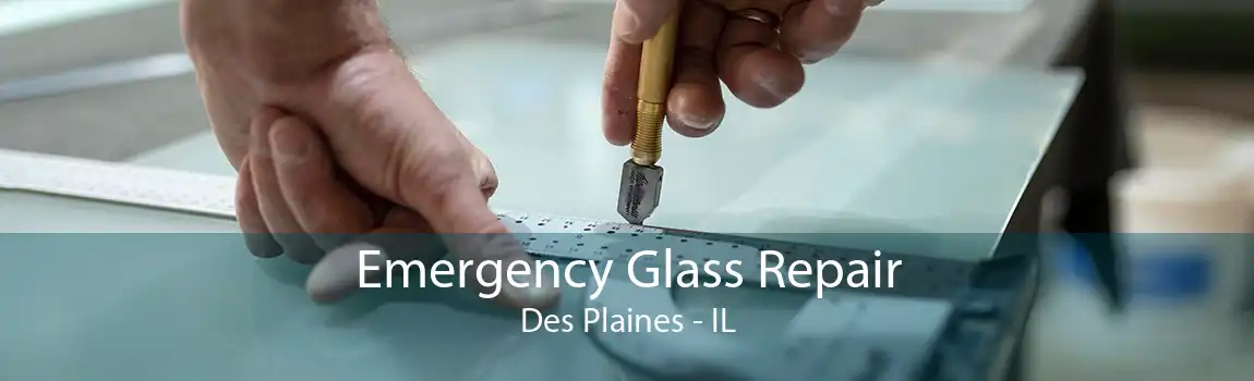 Emergency Glass Repair Des Plaines - IL