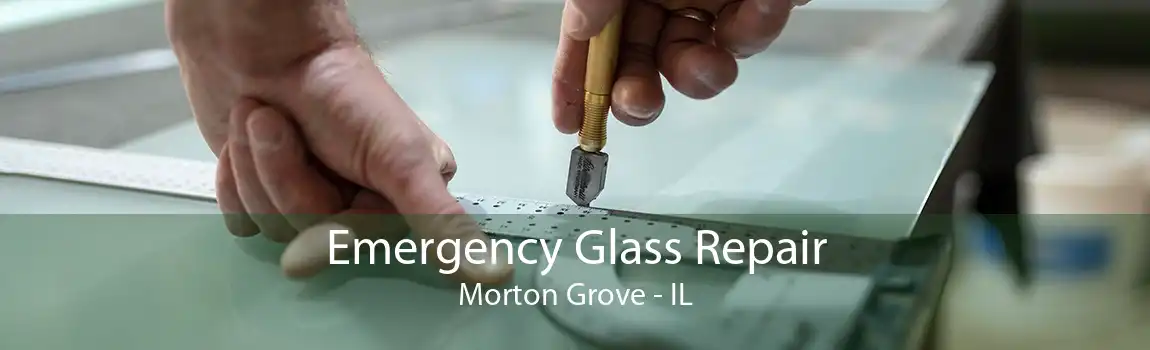 Emergency Glass Repair Morton Grove - IL