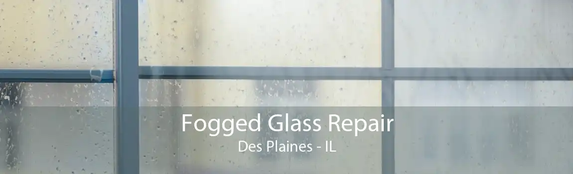 Fogged Glass Repair Des Plaines - IL