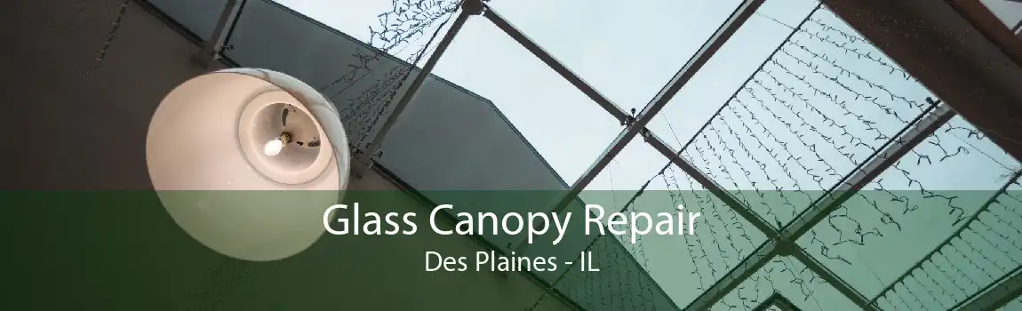 Glass Canopy Repair Des Plaines - IL