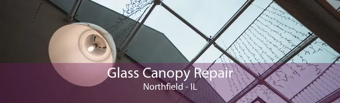 Glass Canopy Repair Northfield - IL