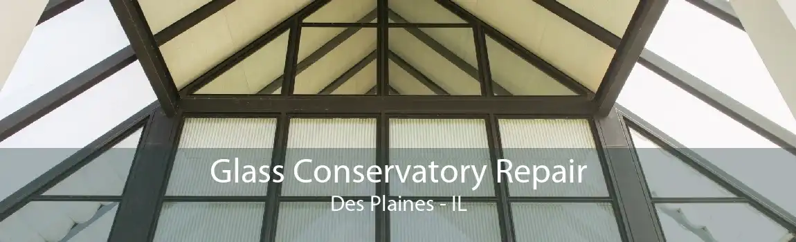 Glass Conservatory Repair Des Plaines - IL