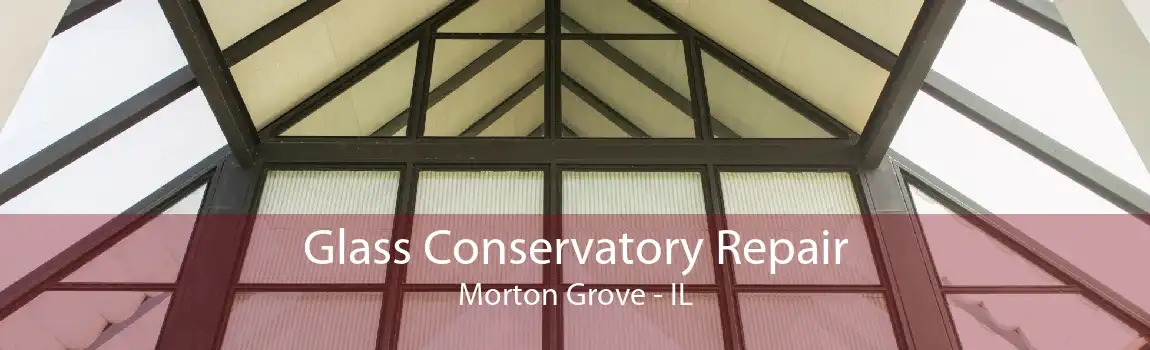 Glass Conservatory Repair Morton Grove - IL