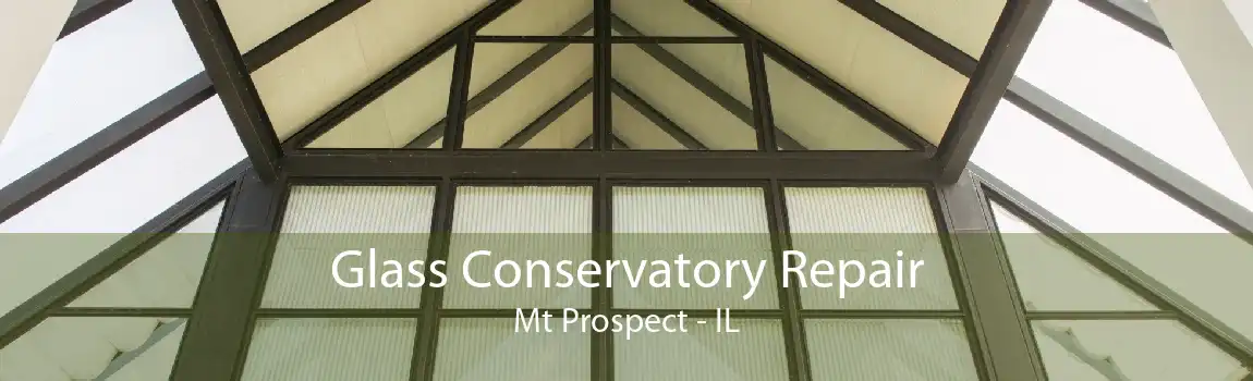 Glass Conservatory Repair Mt Prospect - IL