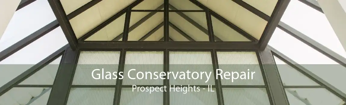 Glass Conservatory Repair Prospect Heights - IL