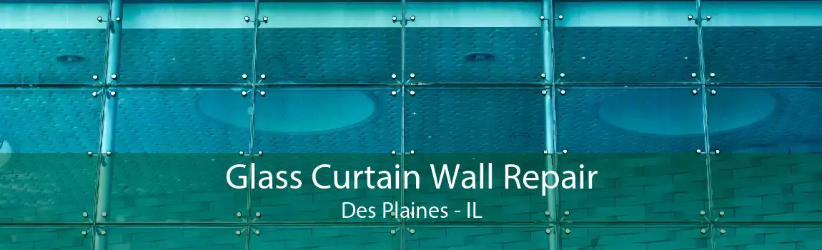 Glass Curtain Wall Repair Des Plaines - IL