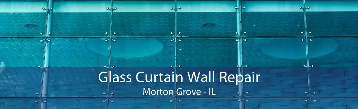 Glass Curtain Wall Repair Morton Grove - IL