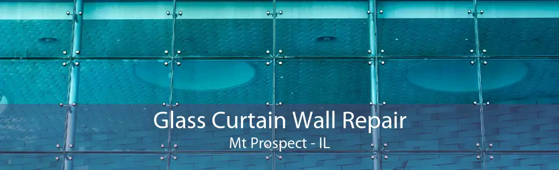 Glass Curtain Wall Repair Mt Prospect - IL