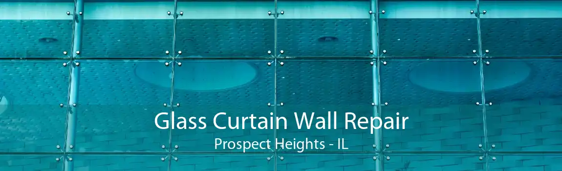 Glass Curtain Wall Repair Prospect Heights - IL