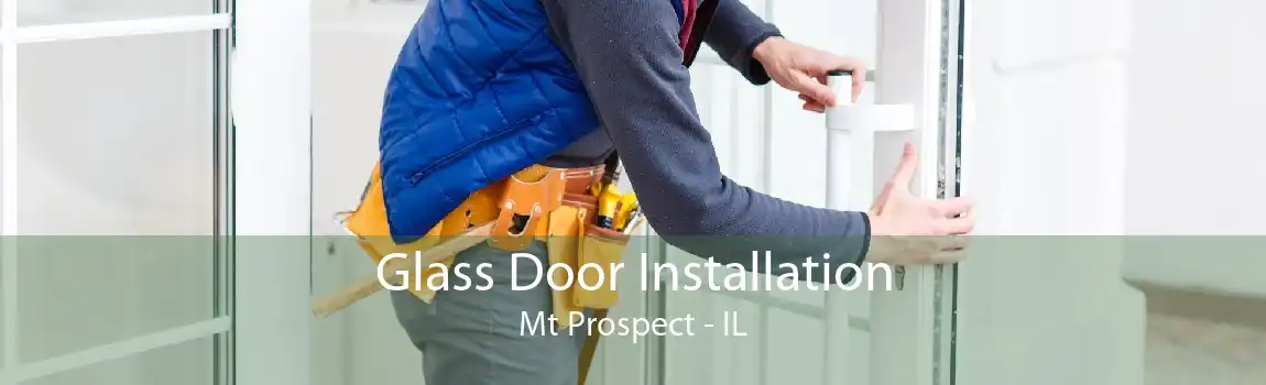 Glass Door Installation Mt Prospect - IL