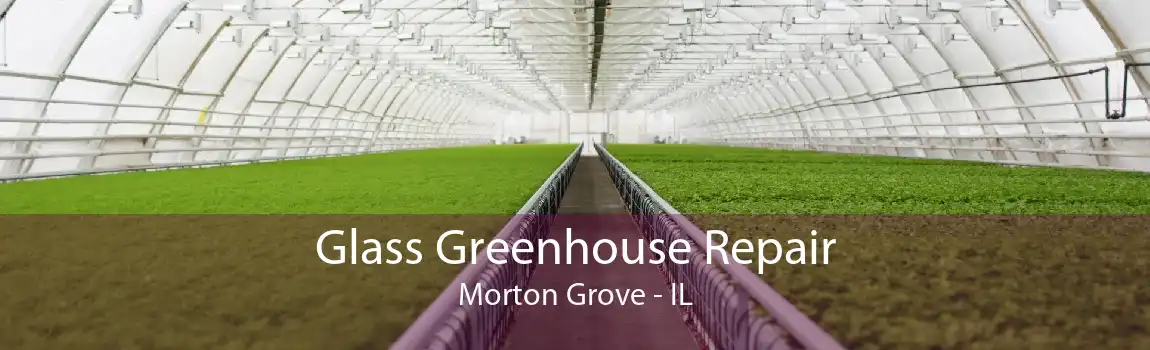 Glass Greenhouse Repair Morton Grove - IL