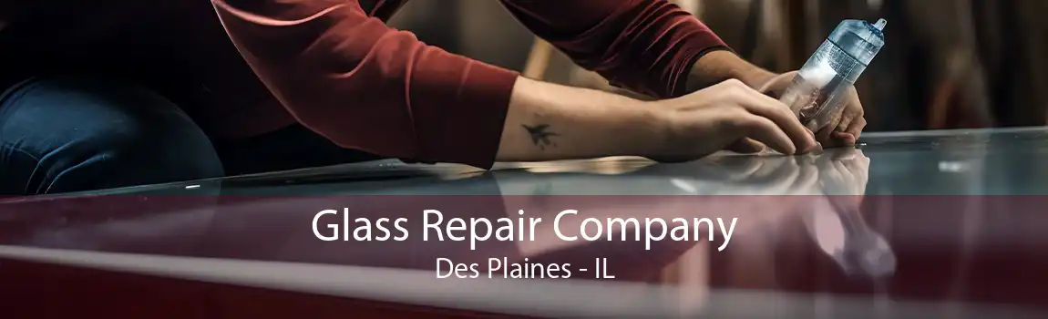 Glass Repair Company Des Plaines - IL