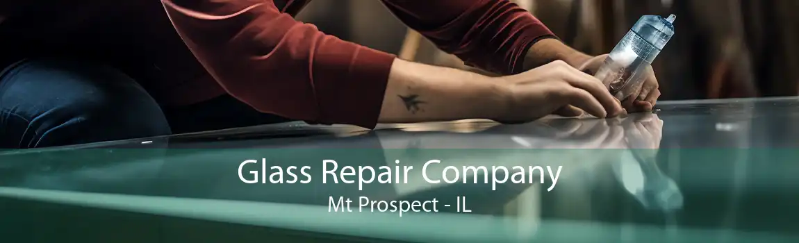 Glass Repair Company Mt Prospect - IL