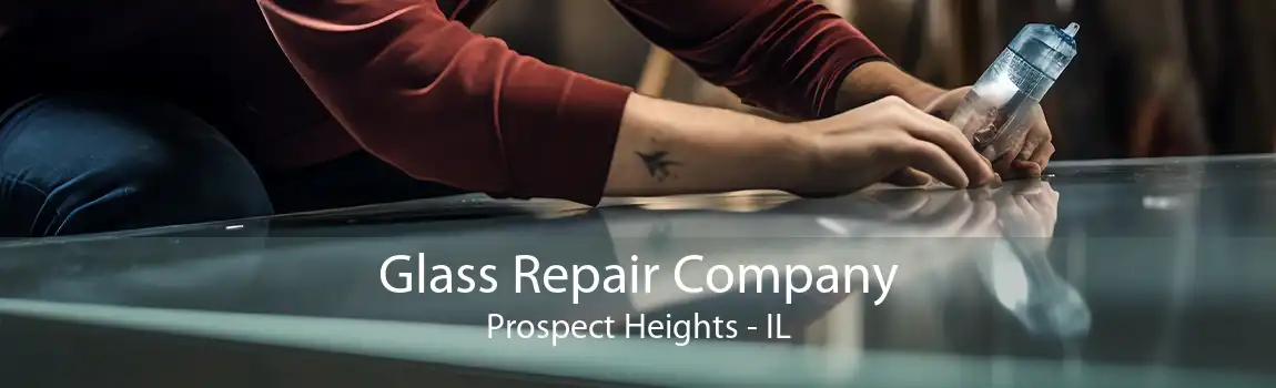 Glass Repair Company Prospect Heights - IL