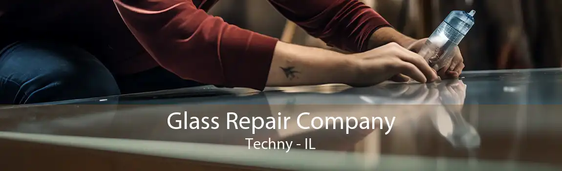 Glass Repair Company Techny - IL