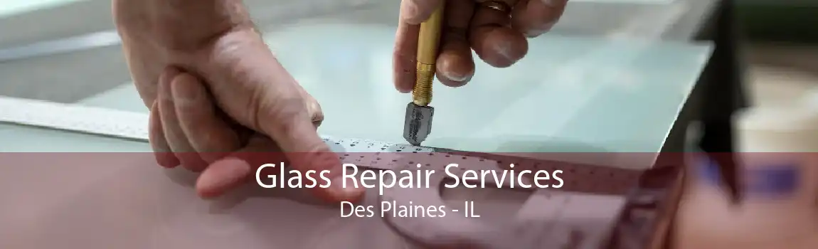 Glass Repair Services Des Plaines - IL