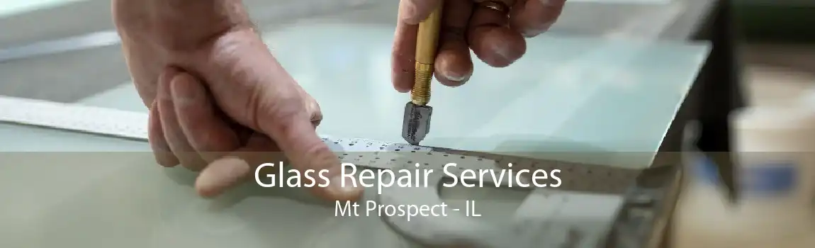 Glass Repair Services Mt Prospect - IL