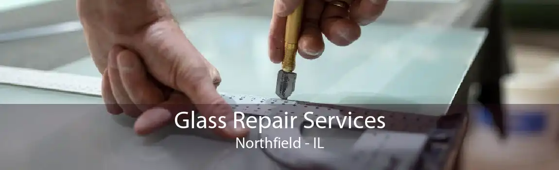 Glass Repair Services Northfield - IL