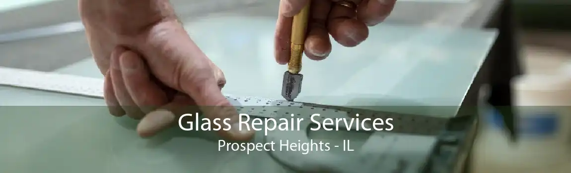 Glass Repair Services Prospect Heights - IL