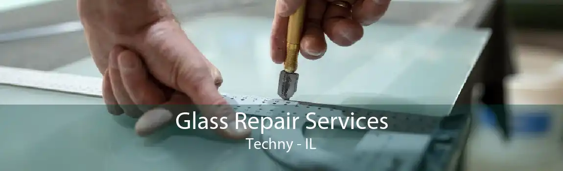 Glass Repair Services Techny - IL