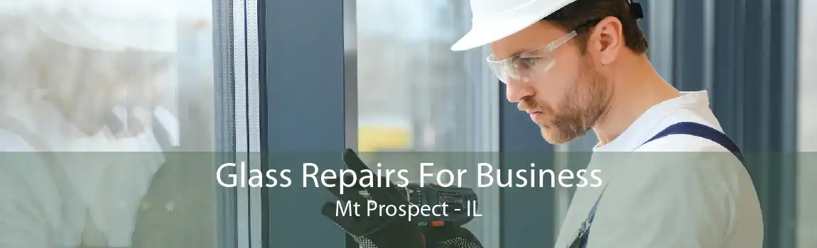 Glass Repairs For Business Mt Prospect - IL