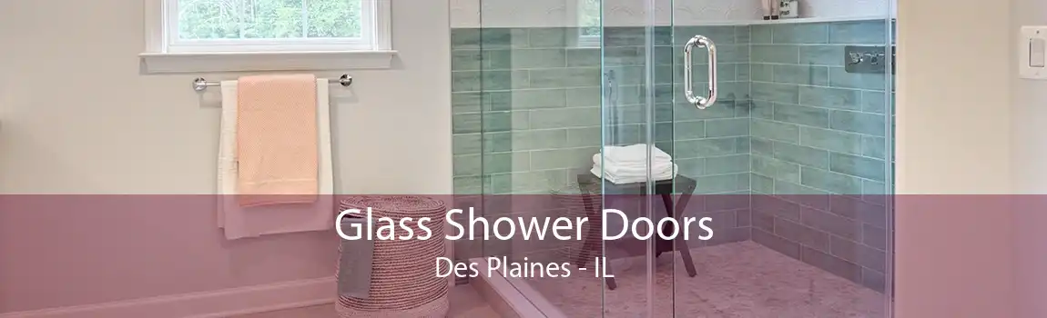 Glass Shower Doors Des Plaines - IL