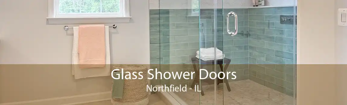 Glass Shower Doors Northfield - IL