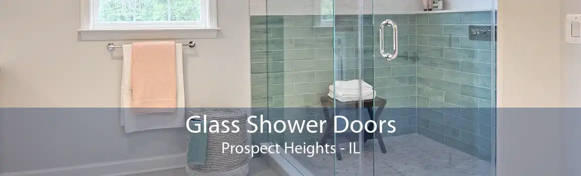 Glass Shower Doors Prospect Heights - IL