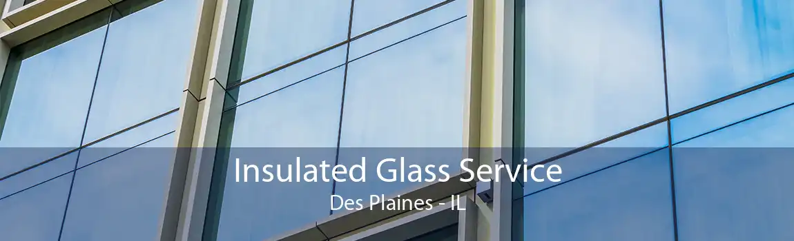 Insulated Glass Service Des Plaines - IL