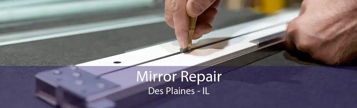 Mirror Repair Des Plaines - IL