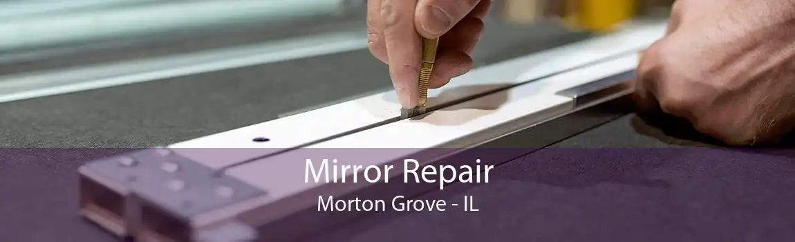 Mirror Repair Morton Grove - IL