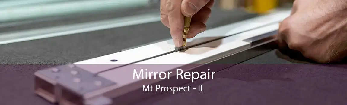 Mirror Repair Mt Prospect - IL