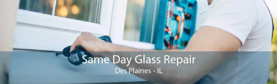 Same Day Glass Repair Des Plaines - IL