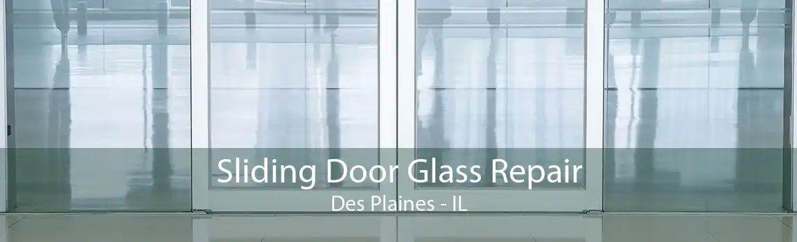 Sliding Door Glass Repair Des Plaines - IL