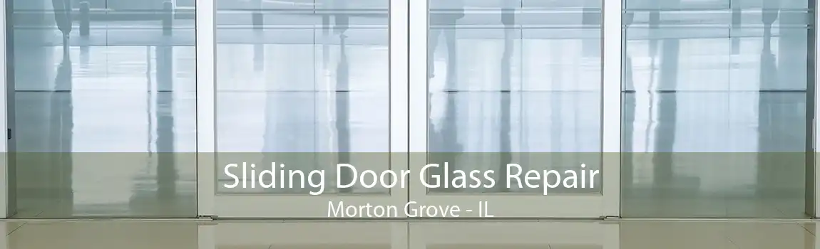 Sliding Door Glass Repair Morton Grove - IL