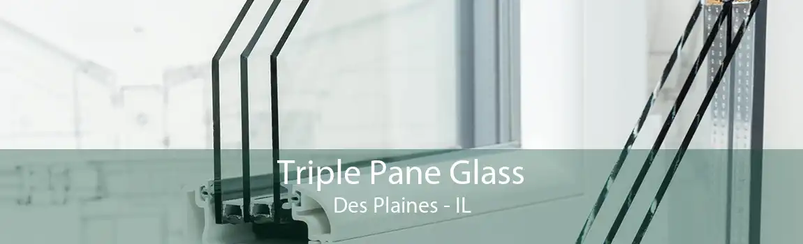 Triple Pane Glass Des Plaines - IL