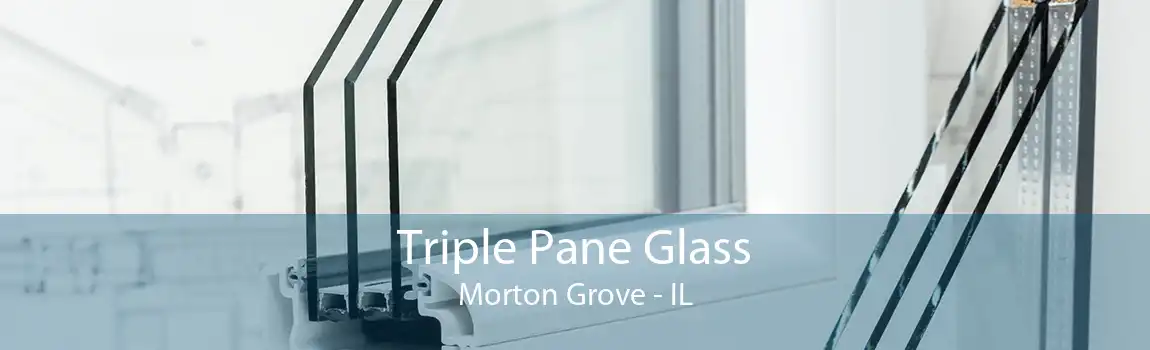 Triple Pane Glass Morton Grove - IL