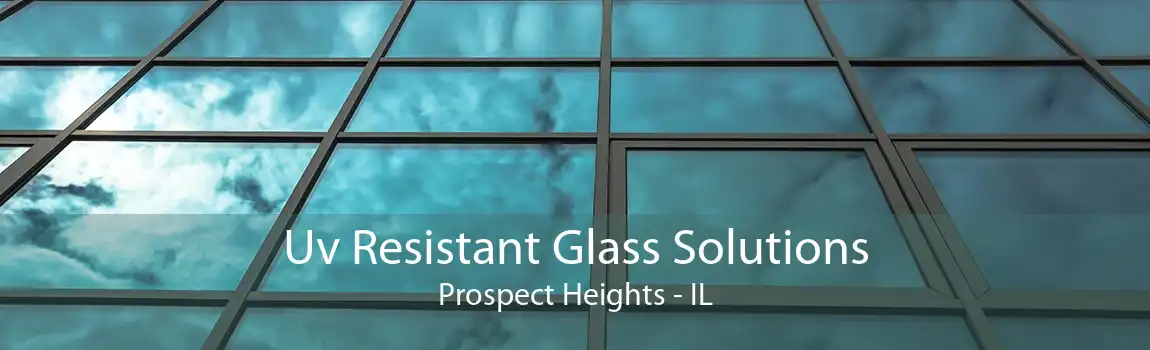 Uv Resistant Glass Solutions Prospect Heights - IL